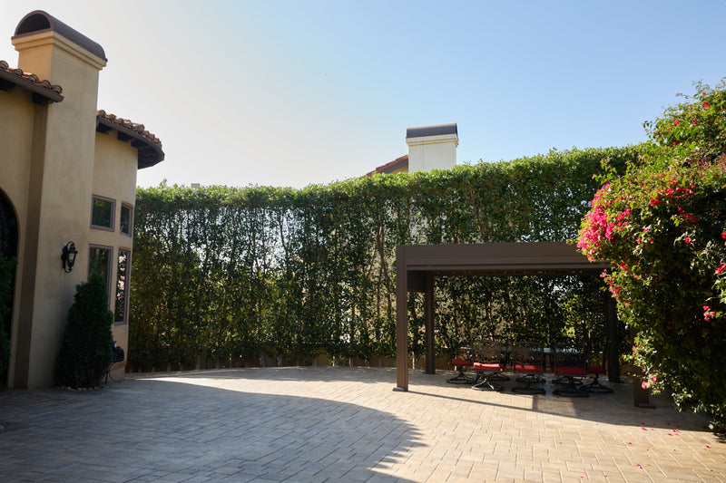 Pergola Venice CA: Complete Guide to Beachfront Motorized Outdoor Living - pergolacave